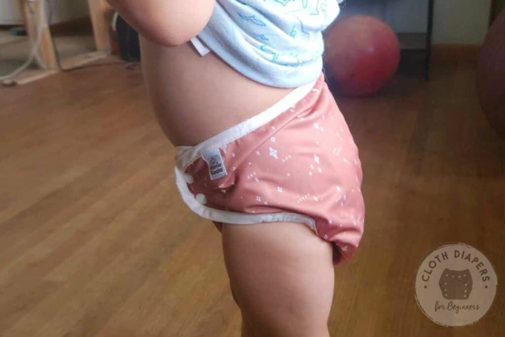 Mama Koala Diaper Cover with a Double Fold 3-Layer Bamboo Hemp Cotton Cloth Diaper Insert.